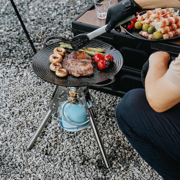 Portable Camping Stove with Storage Bag, Foldable Propane Gas Stove Multi-fuel, Camp Stove for Cooking Hiking Picnic RV Tailgating Emergency Use, Stainless Steel GS350