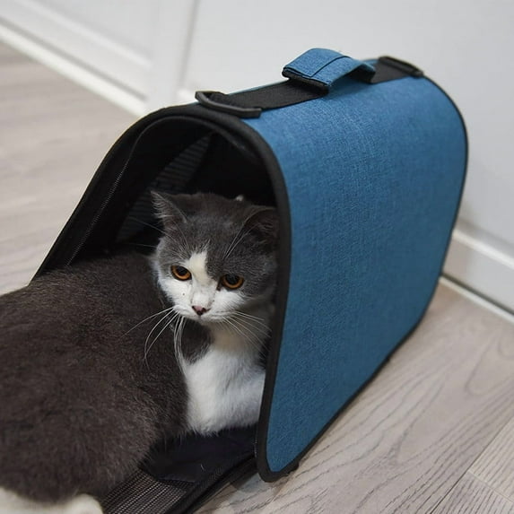 Portable Cat Carrier Bag | Breathable Foldable Capsule Design | Transparent Slanted Panels for Travel | Shoulder Pet Supplies | Lightweight Airy Material | Fits Small Cats | Compact Easy Storage