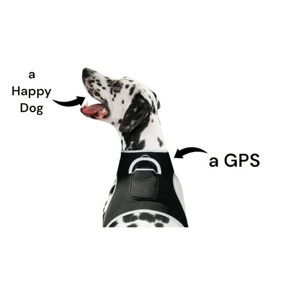 Portable Cat Tracker GPS Waterproof Motion Detect Pet Tracking Device Size:XXL