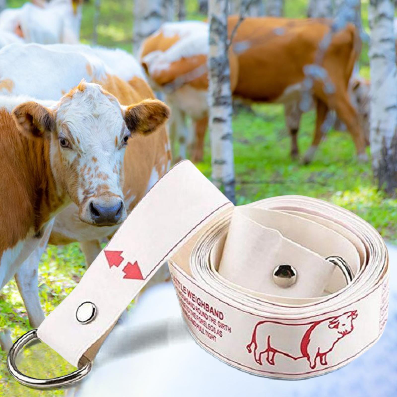 Portable Cattle Tape Measure Bust Weight Contrast Farm Equipment Weigh ...
