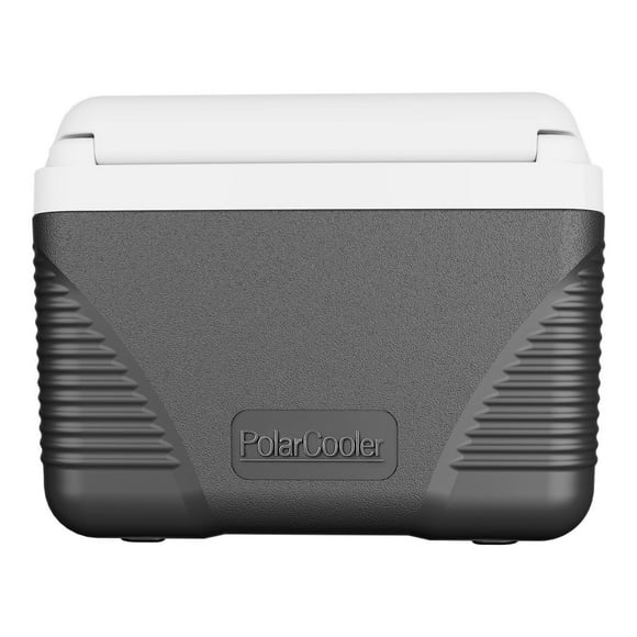 Portable Cooler 8.5 QT Insulated Hard Cooler, 12 Can Capacity with Comfort Carry Handles for Picnics, Camping & Travel