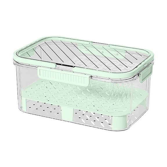 Portable Crisper Box Large Capacity Refrigerator Crispers Plastic Lunch Box Outdoor Picnic Basket Storage Container with Lid for Food Freshness Carry Handle Home Kitchen Travel Camping
