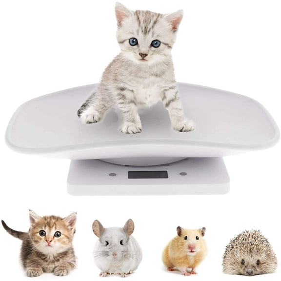 Portable Digital Pet Scale with Auto Shut Off, Multi Use Weighing Scale for Kitten Small Puppy Hamster Hedgehog & Kitchen Food