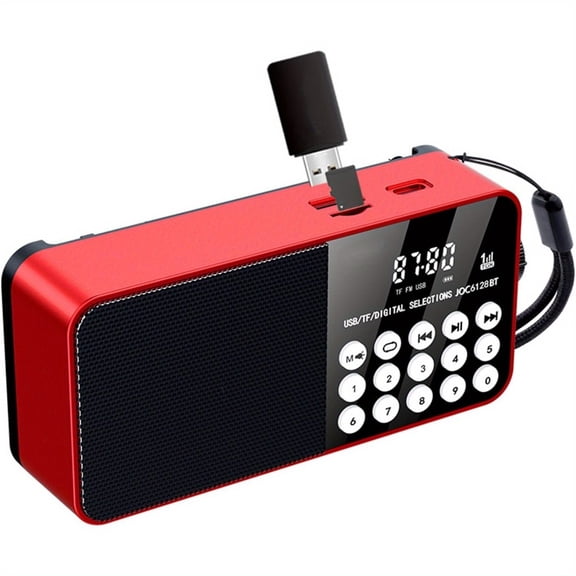 Portable Digital Radio with LCD Screen, /TF Card Player, FM/TV/ Recording, MP3/WMA/AAC Support - Emergency Survival - ( Cable Included) for Camping, Travel, Tornado Alerts - Compact Flash Drive Radio