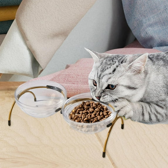 Portable Dog Elevated Bowls Double Glass Bowls Protection Cervical Raised Stand Feeder Drinker Feeding Container for Dogs, Cats, Kitten, Puppy Aureate