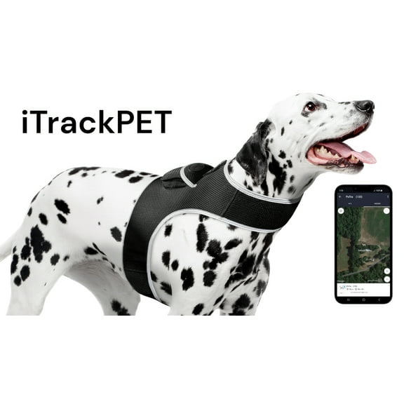 Portable Dog Locator Collar Tracker w/ Android iPhone Compatible Apps Size:M