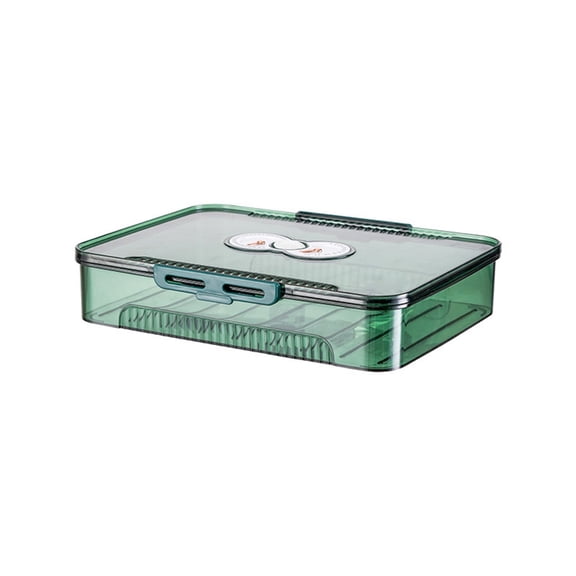 Portable Dumpling Storage Box for Kitchen and Picnics Daily Casual Use