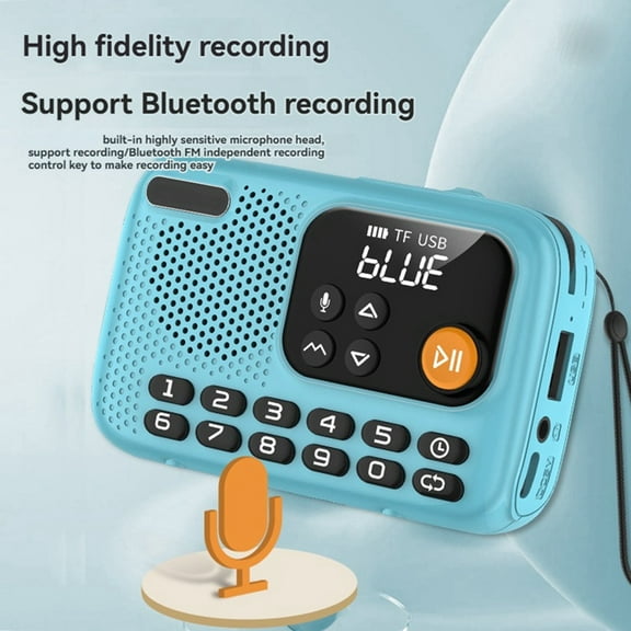Portable FM Radio Wireless Bluetooth Speaker Recorder with LED Screen Support TF Card U Disk for Home Outdoor A