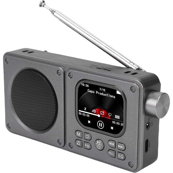 Portable AM FM Video Radio with 2.01 Inch Screen, Bluetooth Speaker, Rechargeable Digital Shortwave MP3 MP4 Player, Loud Speaker and Headphone Jack, Pefect Gift for Seniors Students