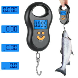 Rapala Fish Scale