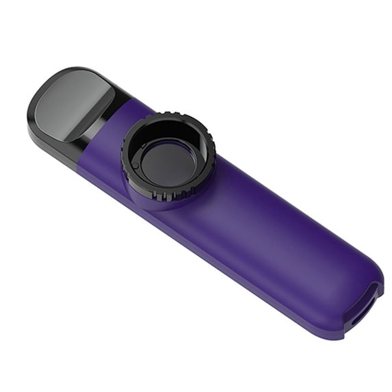 Portable Flute with Lanyard Fun Musical Whistle Toy Joyful Musical Whistle Toy Boys Girls Gift