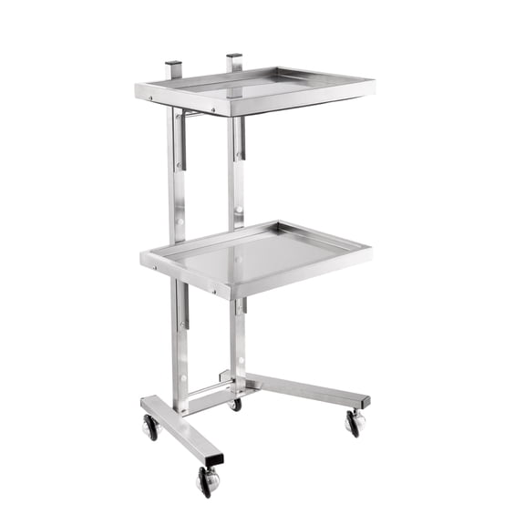Portable Foldable Cart with Wheels, 2-Tier Stainless Steel Beauty Trolley for Mobile Stylists, Laboratory Assistants, and Multi-Location Events(Silver)