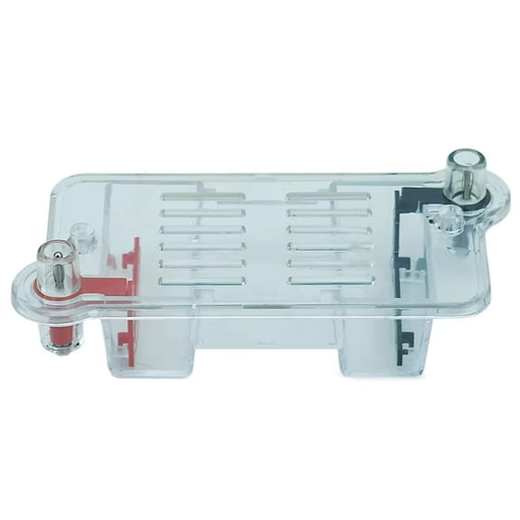 Portable Gel Electrophoresis Apparatus With Sample Preparation Tool Biology Lab Equipment for Science Education