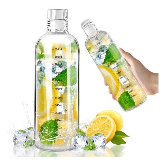 Eco-Friendly 750ml Portable Glass Insulated Water Bottle - Leak-Proof & Durable Hydration Solution