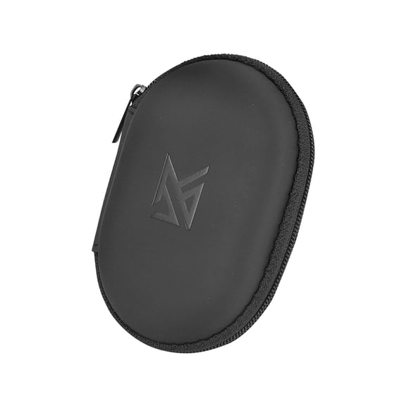 Portable Headphone Storage Bag Box, Carry Case for Bluetooth Headsets & Wired Earphones