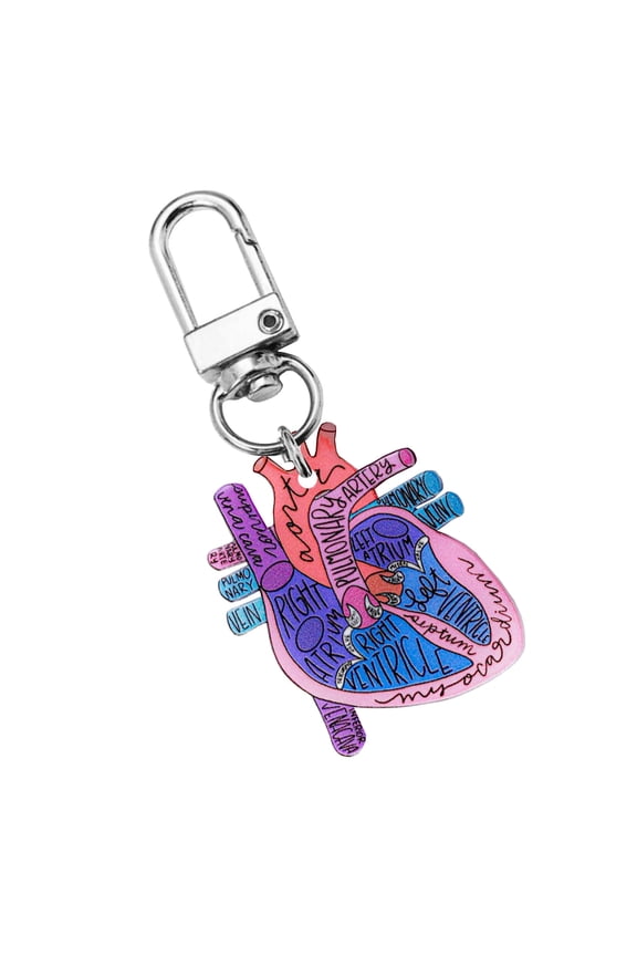 Portable Human Organs Keychain Heart Anatomy Keychain Lightweight Key Rings Accessory for Healthcare Workers
