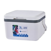 Portable Insulated Cooler Box 5L Leak Proof Hard Sided for Beach Camping Picnics Keeps Ice Up to 4 Hours Food Storage