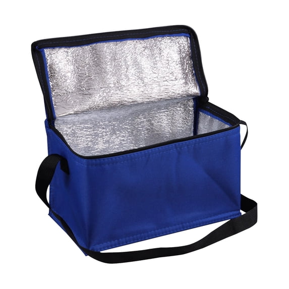 Portable Insulated Thermal Bag, Reusable Waterproof Leakproof Lunch Box with Shoulder Strap and Carry Handles, Collapsible Food Carrier for Work Picnic Beach Camping and Meal Prep