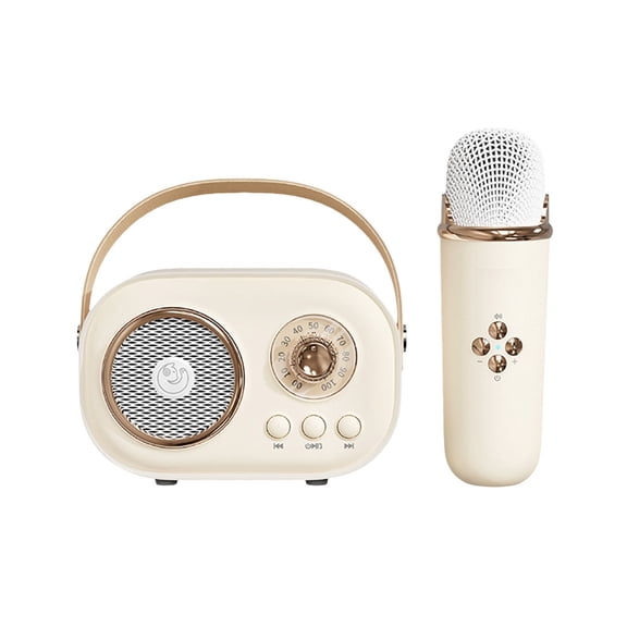 Portable Karaoke Fun Set, Mini Karaoke Machine, Portable Bluetooth Speaker, Bluetooth Speaker with Wireless Microphone, 6 Sound Modes for Indoor and Outdoor Family Gatherings, Holiday Parties
