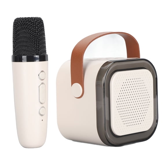 Portable Karaoke Machine with Wireless Microphone and LED Lights, Mini Bluetooth Karaoke Speaker for Kids Adults (14x13x8 inches / 35.6x33x20.3 cm)
