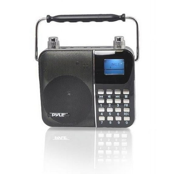 Portable Karaoke Radio & PA Speaker System, Compact Headset Microphone Amplifier
