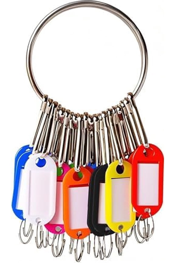 Portable Key Organizer, Key Organizer Keychain,30 Key Tags with Ring and Individual Spring Hooks,1 Key Holder,Suitable for Company, Home,Multiple Keys, Office, Janitor, Hotel, Apartments KeyManagement