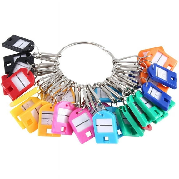 Portable Key Organizer, with 30 Individual Spring Hooks and Tags for Multiple Keys, Office, Janitor, Apartments