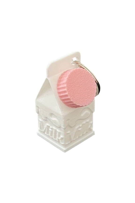 Portable Keychain Compact Holder For Daily Use Metal Key Ring Organizer With Secure Snap Closure