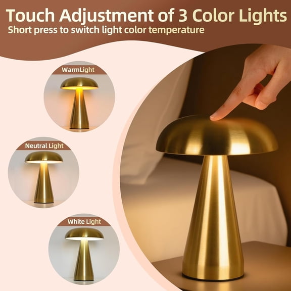 Portable LED Desk Lamp, Rechargeable Battery, 3-Color Touch Control, Cordless Table Lamp with Stepless Dimming, Modern Bedside Lamp for Bedroom, Living Room, and Dining Room