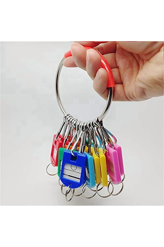 Portable Metal Ring Key Organizer with 16 Spring Hooks & Key Tags with Ring and Label Window