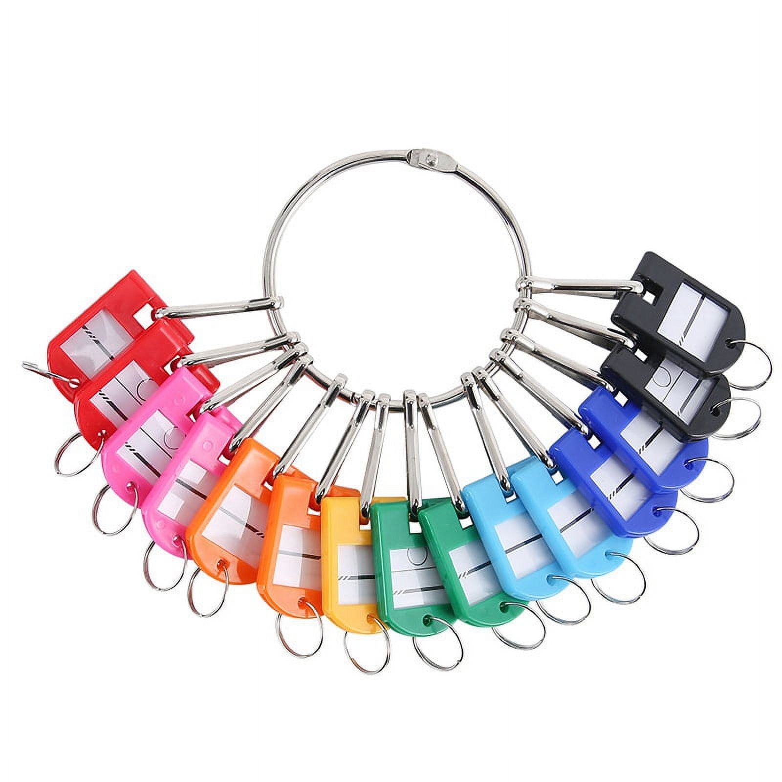 Portable Metal Ring Key Organizer with 20 Spring Hooks & Key Tags with Ring and Label Window