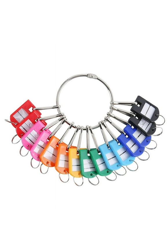 Portable Metal Ring Key Organizer with 20 Spring Hooks & Key Tags with Ring and Label Window