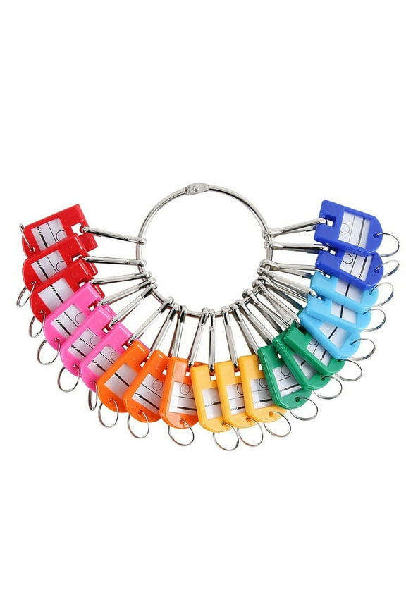 Portable Metal Ring Key Organizer with 30 Spring Hooks & Key Tags with Ring and Label Window,30 x Key Organizer,Random Color