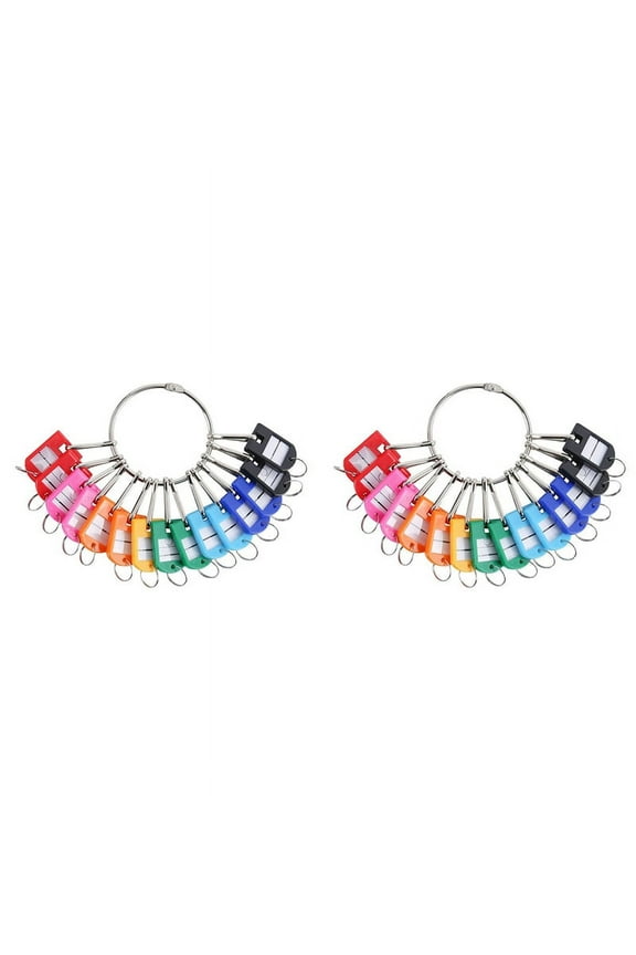 Portable Metal Ring Key Organizer with 40 Spring Hooks & Key Tags with Ring and Label Window,40 x Key Organizer,Random Color