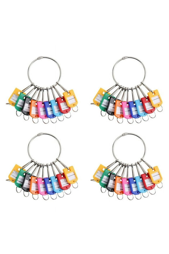 Portable Metal Ring Key Organizer with 40 Spring Hooks & Key Tags with Ring and Label Window,40 x Key Organizer,Random Color