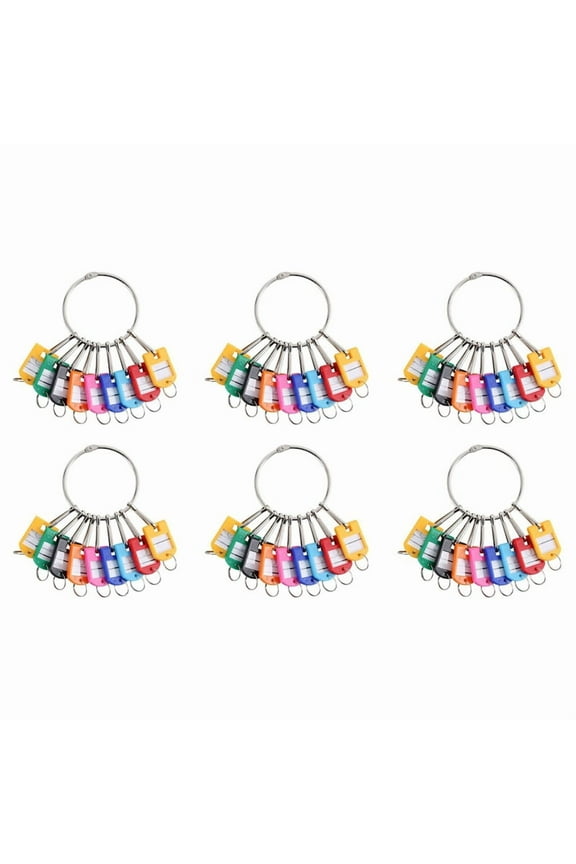 Portable Metal Ring Key Organizer with 60 Spring Hooks & Key Tags with Ring and Label Window,60 x Key Organizer,Random Color