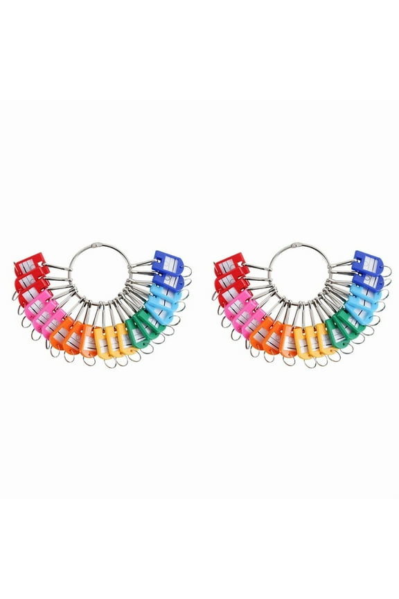 Portable Metal Ring Key Organizer with 60 Spring Hooks & Key Tags with Ring and Label Window,60 x Key Organizer,Random Color