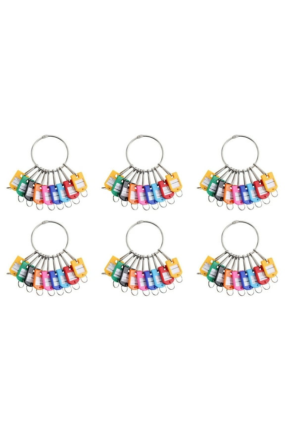 Portable Metal Ring Key Organizer with 60 Spring Hooks & Key Tags with Ring and Label Window