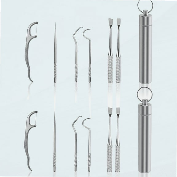 Portable Metal Toothpicks Set of 14, Reusable Tooth Scraper Floss with Keychain, Stainless Steel Tartar Removing Teeth Pick with Holder, Tooth Cleaning Kit for Outdoor Picnic Travel Camping