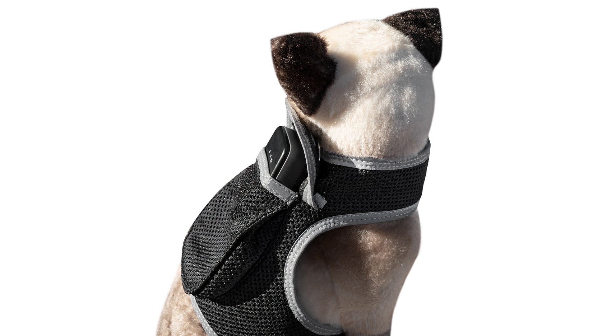 Portable Mini Collar Tracker w/ Realtime Security Pet Tracking App Size:L