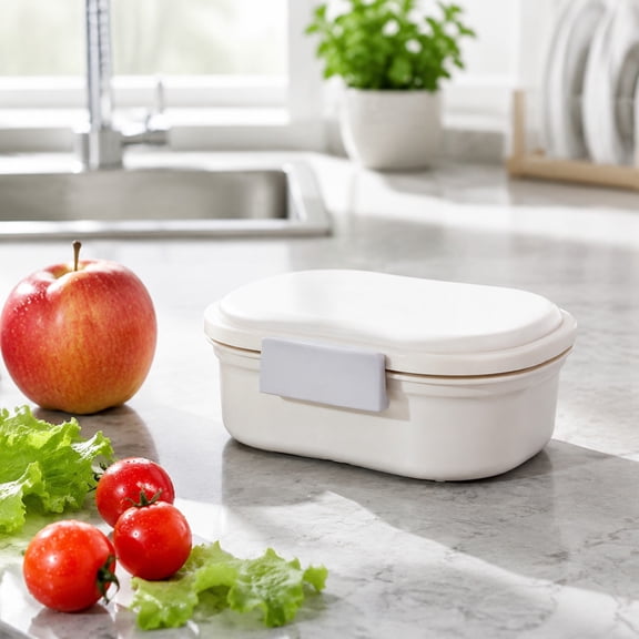 Portable Mini Fridge Lunch Box, Food Grade Divided Ice Box Airtight Bento Container for Fruit Meals