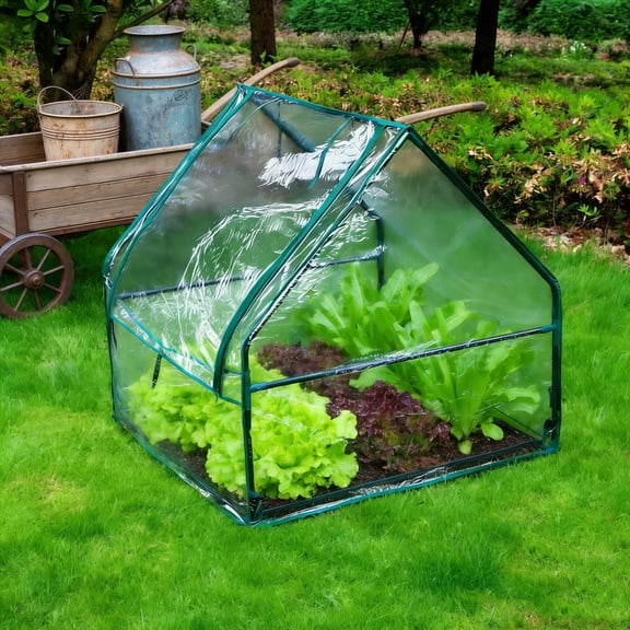 Portable Mini Greenhouse Tent for Indoor Outdoor Plants Clear Plastic Walk In Cold Frame for Winter Frost Protection and Season Extension