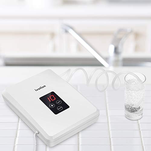 Portable Ozone Generator 600mg/h  Multipurpose Air Sterilizing & Freshening System w/2 Tubes, 2 Diffuser Stones & Timer; Purifies Air, Water, Food, Toothbrush