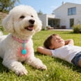thumbnail image 1 of Portable Pet Loss Tracker GPS Locator With Ring Alarm Lightweight Anti‑Lost Tag For Cats Dogs Puppies Keys Luggage Personal Belongings, 1 of 3