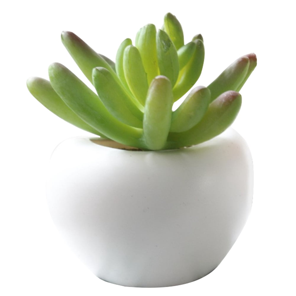 Portable Plants Succulent Bonsai Flower Potted for Home Decor