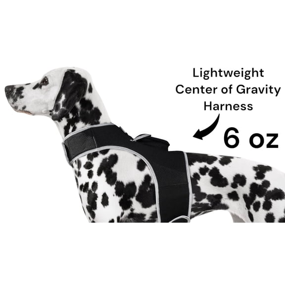 Portable Dog Locator Collar Tracker w/ Android iPhone Compatible Apps Size:L