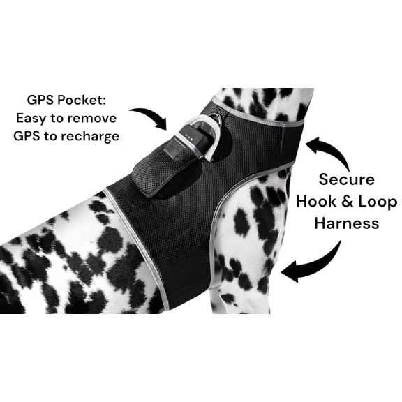 Portable Realtime Remote Security GPS Pet Tracker for Phone w/ App Size:M
