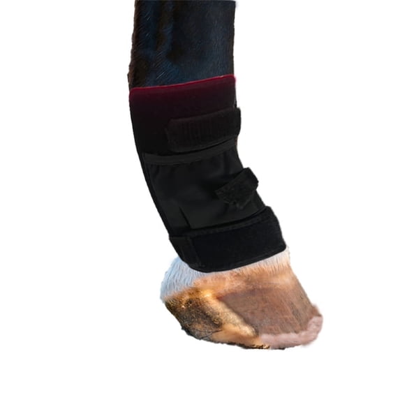 Portable Red Infrared Light Pad for Horse Leg(Right Leg)