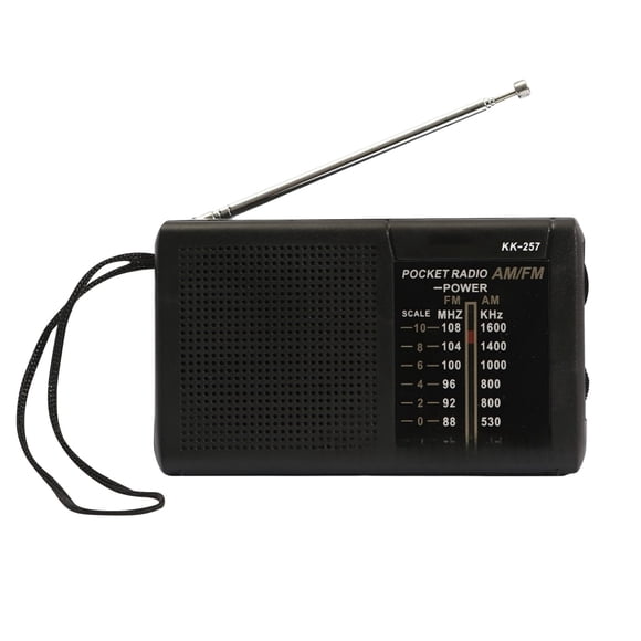 AM/FM Receivers