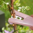 thumbnail image 1 of Portable Rose Thorn Stripper Gardening Pliers Leaf Cut Remover and Flower Stem Stripping Tool for Florist and Floral Design in Home Gardening, 1 of 7